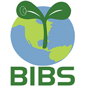 青苗国际双语学校LOGO