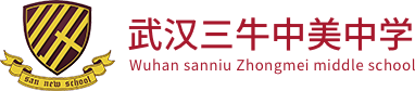 武汉三牛中美中学