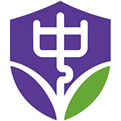 广州市黄埔中黄外国语小学LOGO