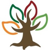 长春盈佳外国语学校LOGO