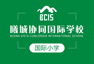 曦城协同国际学校国际小学招生简章