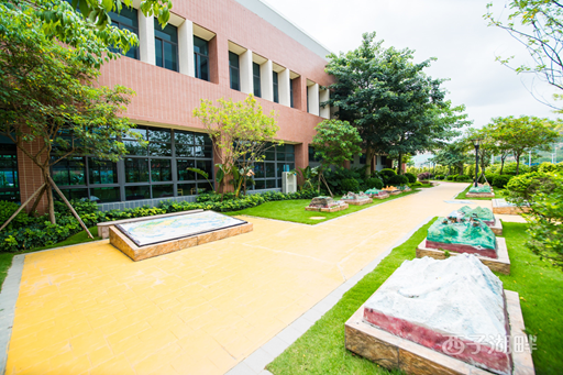 碧桂园十里银滩学校图片 碧桂园十里银滩学校图片