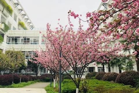南京师范大学附属实验学校国际部风景图
