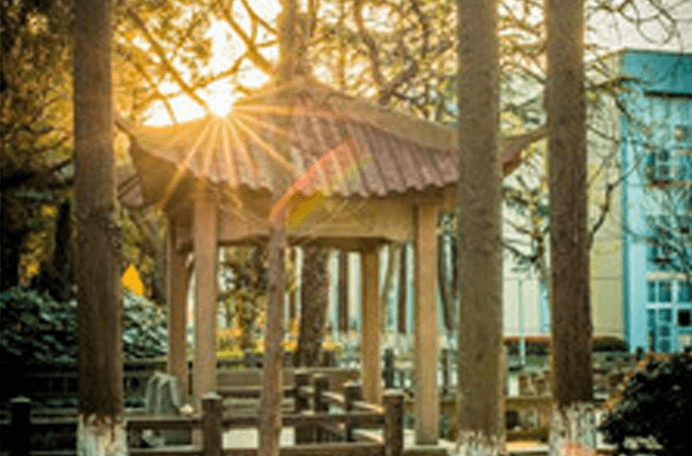 上海中学国际部