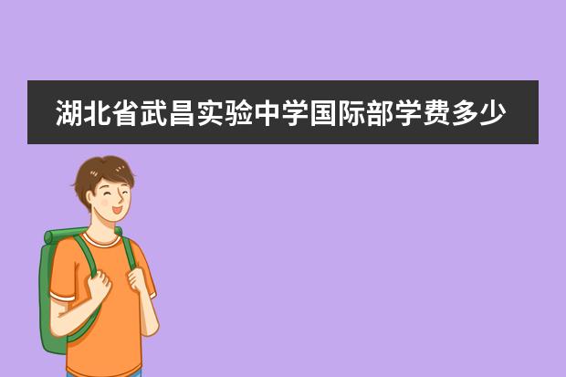 湖北省武昌实验中学国际部学费多少