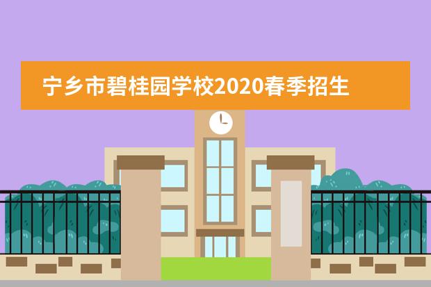 宁乡市碧桂园学校2020春季招生开始啦！