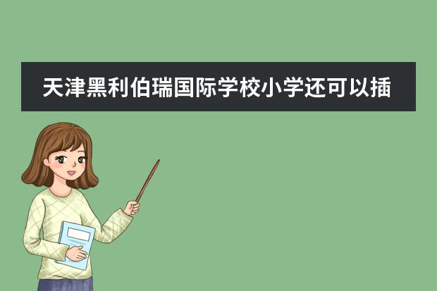 天津黑利伯瑞国际学校小学还可以插班吗?