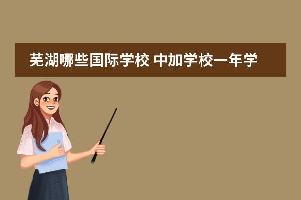 芜湖哪些国际学校 中加学校一年学费多少