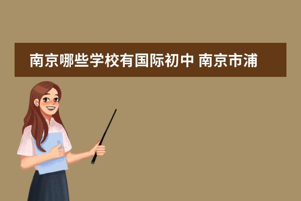 南京哪些学校有国际初中 南京市浦口区有哪些私立小学和中学?
