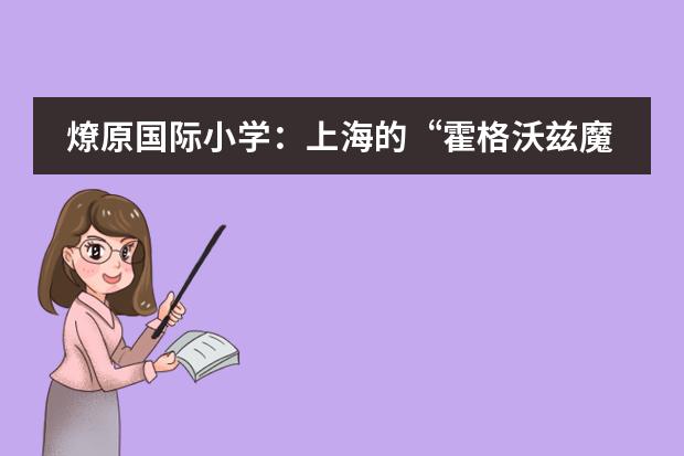 燎原国际小学：上海的&ldquo;霍格沃兹魔法学院&rdquo;