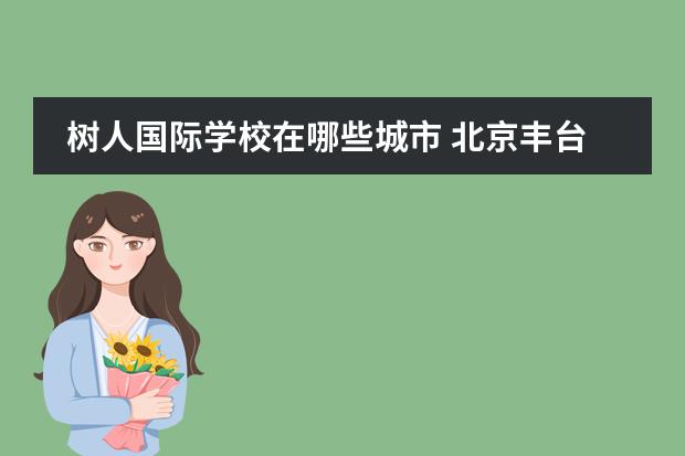 树人国际学校在哪些城市 北京丰台区有哪些私立学校