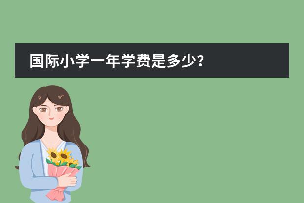 国际小学一年学费是多少？