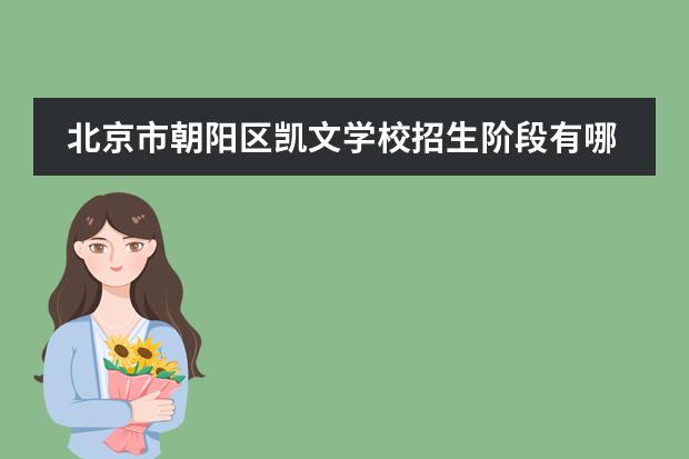 北京市朝阳区凯文学校招生阶段有哪个？
