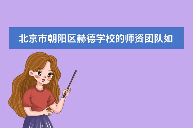 北京市朝阳区赫德学校的师资团队如何？