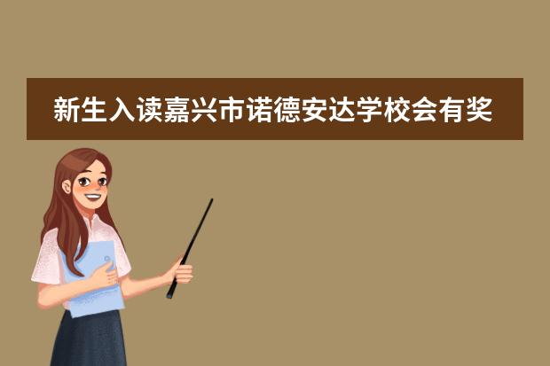 新生入读嘉兴市诺德安达学校会有奖学金吗?