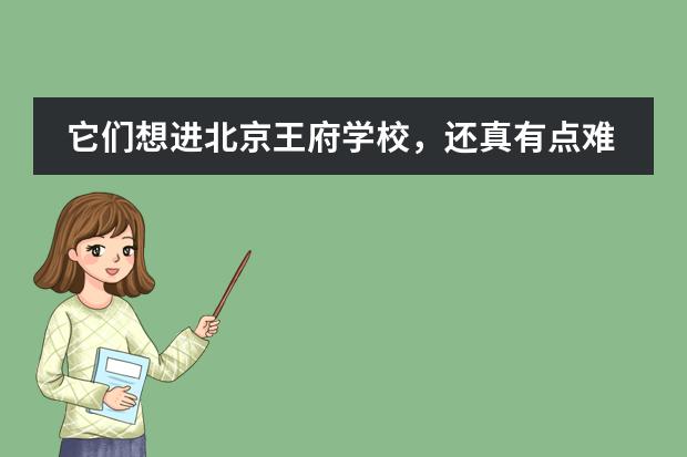 它们想进北京王府学校,还真有点难