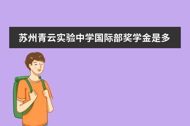 苏州青云实验中学国际部奖学金是多少?