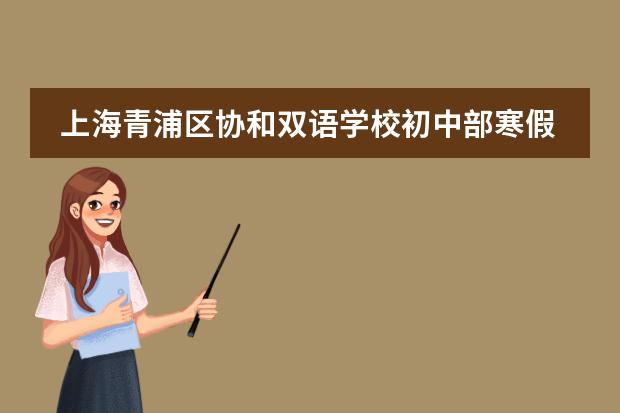 上海青浦区协和双语学校初中部寒假作业展示
