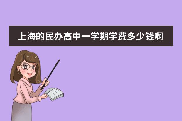 上海的民办高中一学期学费多少钱啊？