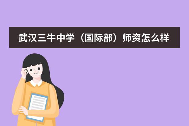 武汉三牛中学(国际部)师资怎么样?
