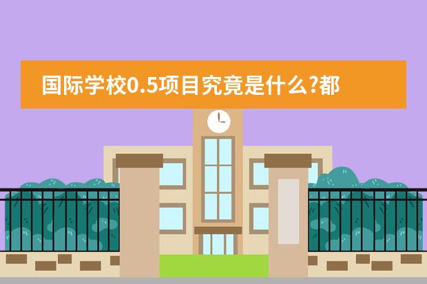 国际学校0.5项目究竟是什么?都有哪些学校开设了此项目?