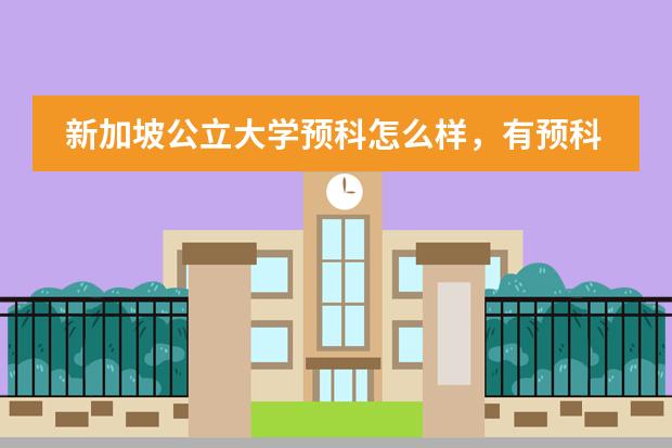 新加坡公立大学预科怎么样,有预科班推荐吗?