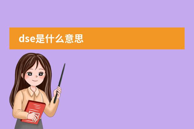 dse是什么意思