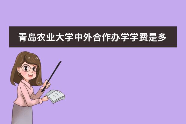 青岛农业大学中外合作办学学费是多少?