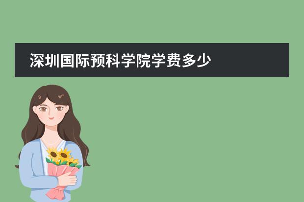 深圳国际预科学院学费多少