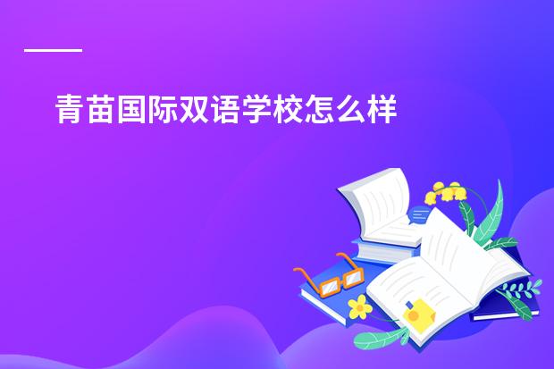 青苗国际双语学校怎么样