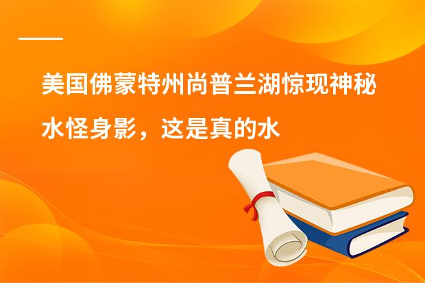 美国佛蒙特州尚普兰湖惊现神秘水怪身影,这是真的水怪吗?