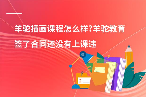 羊驼插画课程怎么样?羊驼教育签了合同还没有上课违约金多少