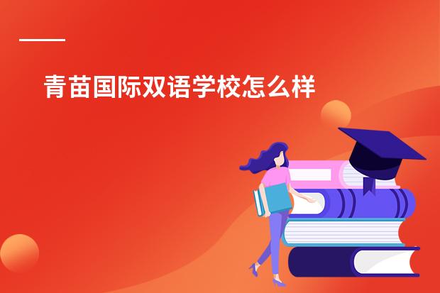 青苗国际双语学校怎么样