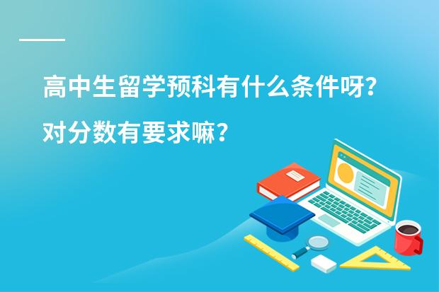 高中生留学预科有什么条件呀？对分数有要求嘛？