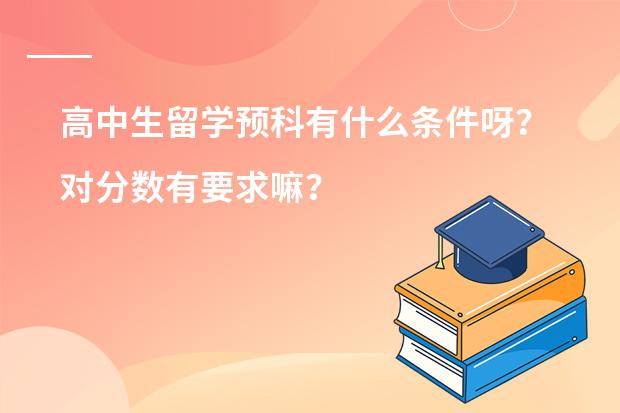 高中生留学预科有什么条件呀？对分数有要求嘛？