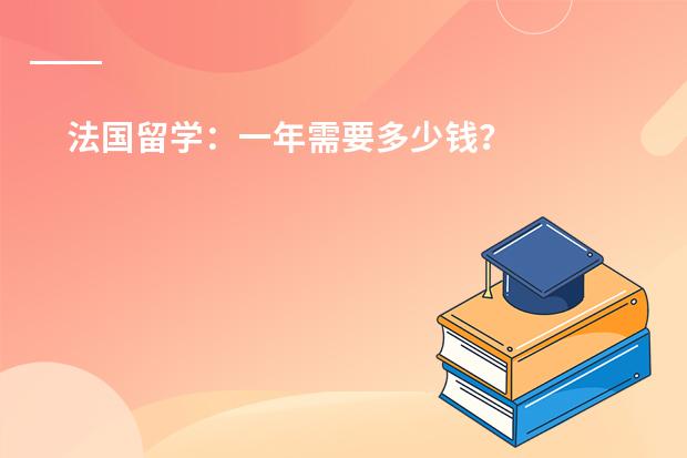 法国留学：一年需要多少钱？