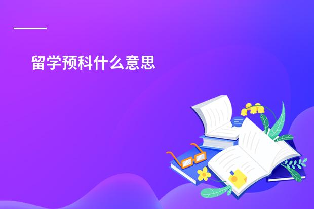 留学预科什么意思