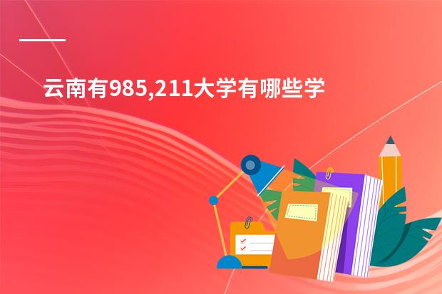 云南有985,211大学有哪些学校