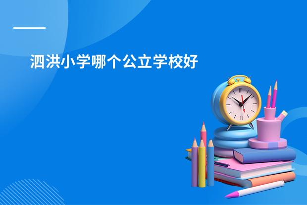 泗洪小学哪个公立学校好