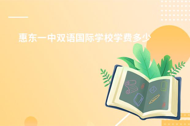 惠东一中双语国际学校学费多少