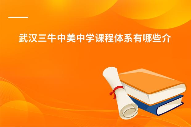 武汉三牛中美中学课程体系有哪些介绍