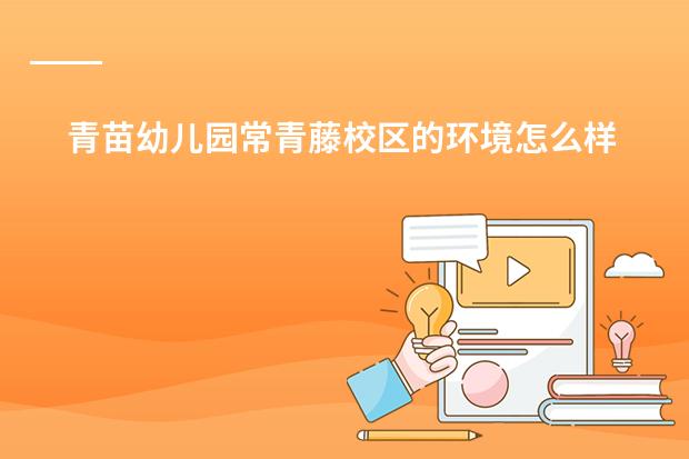 青苗幼儿园常青藤校区的环境怎么样？