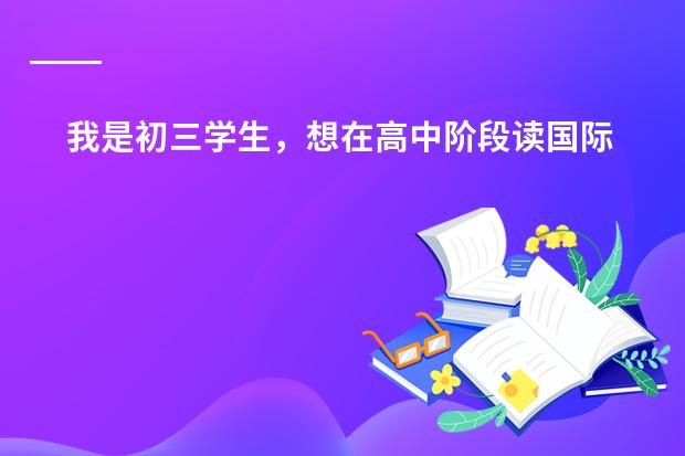 我是初三学生，想在高中阶段读国际学校类的，可以申请去新加坡的学校。请问各位大师，北京的哪所学校好些（英国的&ldquo;国际学校好，还是&ldquo;私立学校好）